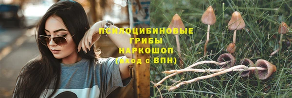 ECSTASY Абинск
