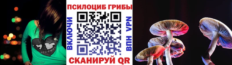 Галлюциногенные грибы GOLDEN TEACHER  как найти закладки  Нариманов 